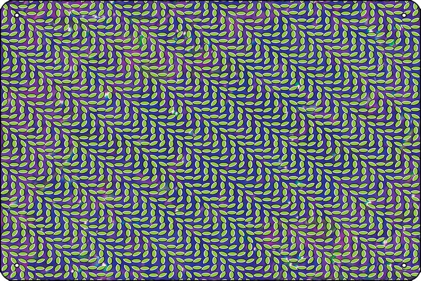 Animal Collective - Merriweath - Home Office X Post のレビューと価格